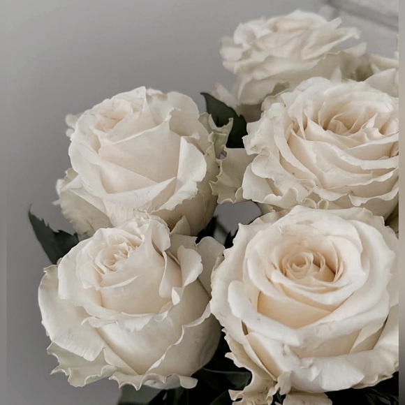 ✨✨SHOP W/ CONFIDENCE✨✨ HELLO AND WELCOME TO MY CLOSET. - Picture 2 of 3